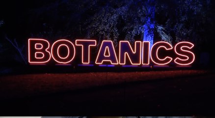 Christmas At The Botanics 2024 is 'magical and spectacular' says RBGE's Raoul Curtis-Machin