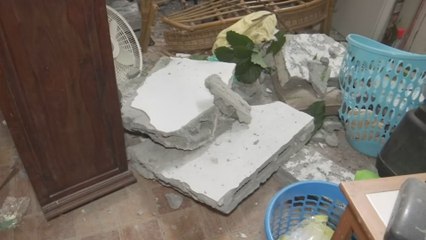 Árbol cae sobre dos viviendas en barriada Princesa de Gales; familias se salvan de milagro