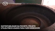 Sustentabilidade na Feicorte: projeto utiliza pneus usados para fazer bebedouro