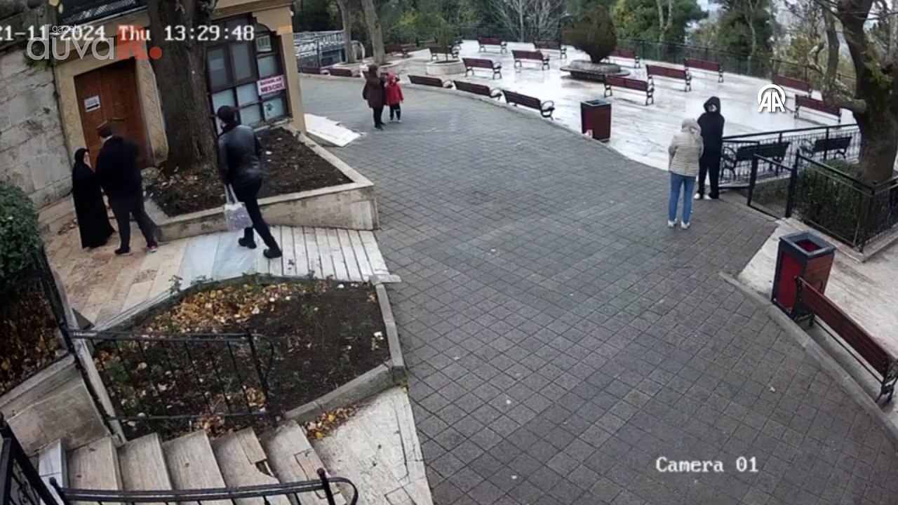 Beykoz'da şiddetli rüzgarda ağacın devrilmesi sonucu 1 kişi yaralandı