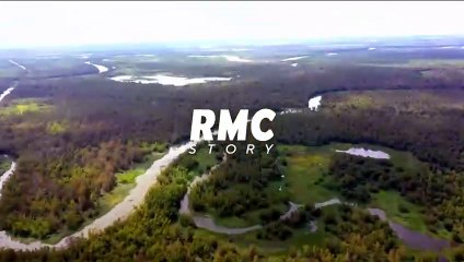 Retour à l’instinct primaire : Restons groupés - 23 novembre