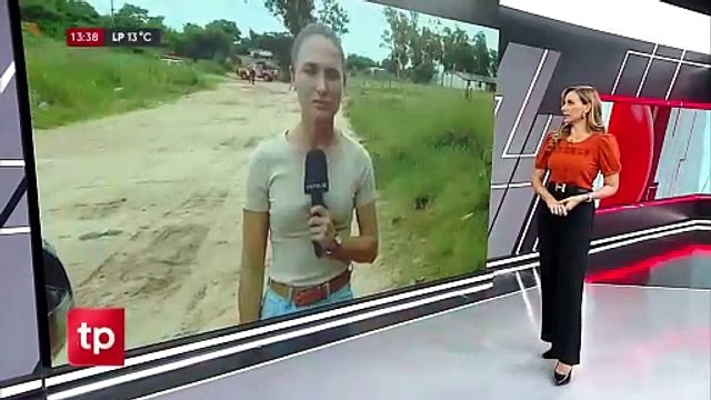 Ataque de abejas afecta a vecinos de un barrio al este de la capital cruceña