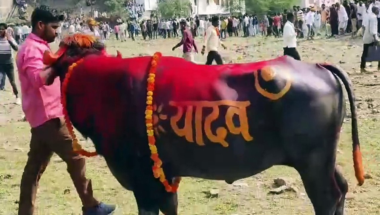 पदों की लडाई