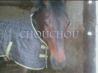 Ecurie de laubois1_0001