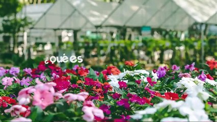 ext-publireportaje-paramo-plantas-211124