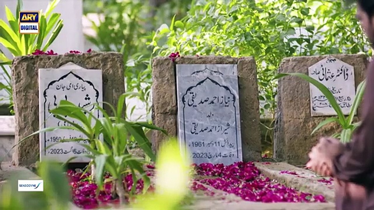 Baby Baji Ki Bahuwain Episode 60 _ Digitally Presented by Sensodyne _ 21 November 2024 _ ARY Digital(360P)