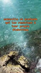 C'est percutant quand même c'est pas facile