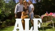 ALF 01x14, Trama Familiar