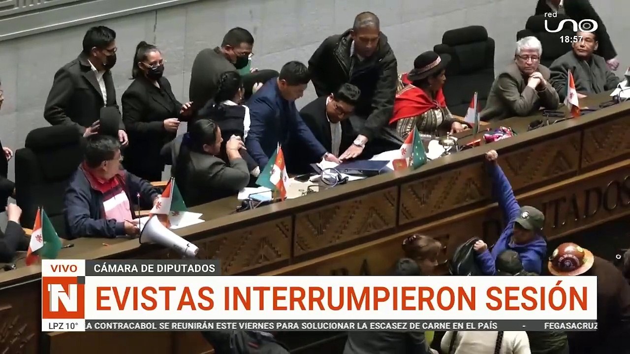diputados
