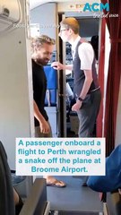 Passengers applaud after snake removed from Perth-bound plane