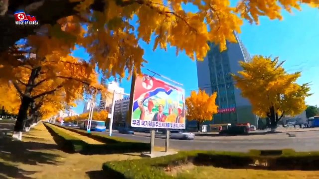 Avanços na educação da Coreia Socialista