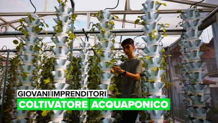 Giovani imprenditori: Coltivatore acquaponico