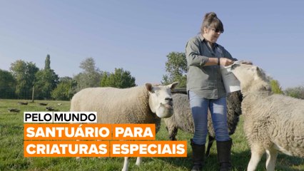 Pelo Mundo: Santuário de Criaturas Especiais