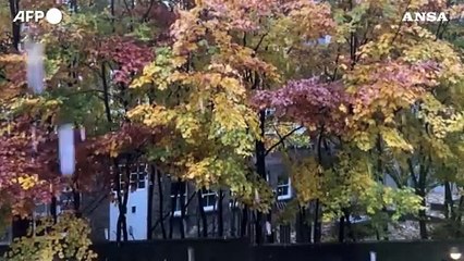 Londra, la citta' si sveglia con la prima nevicata della stagione