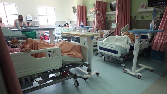 tn7 Aparición de casos autóctonos de dengue en Cartago amenazan con aumentar crisis en Max Peralta-211124