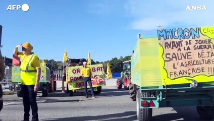 Nuove proteste degli agricoltori in Francia e Inghilterra