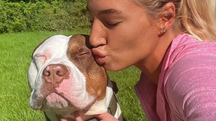 Sweet Dog Has To Wear A Muzzle Because Of His Breed