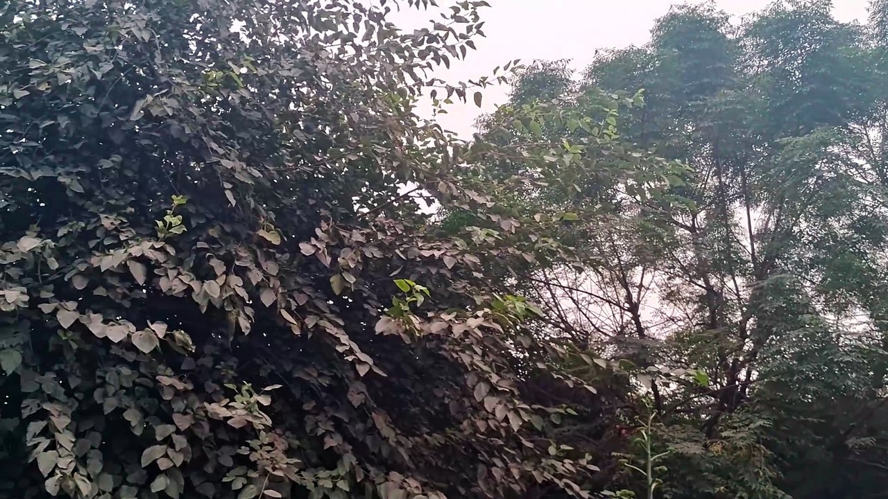 V2 - मेरी वीडिओज़ देखने से पहले एक चेतावनी - A warning before watching my videos