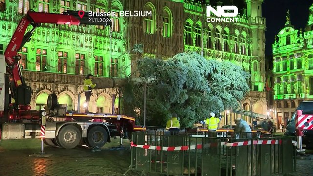 No Comment. Un arbre de Noël de 20 mètres de haut installé sur la Grand-Place de Bruxelles.