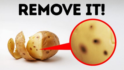 90+ Mind-Blowing Facts to Challenge What You Know