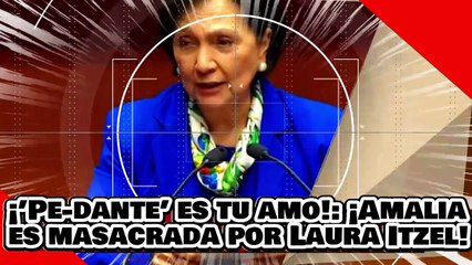 ¡’Pe-dante’ es tu amo! ¡ Amalia García es masacrada por Laura Itzel Castillo por atacar la CNDH!