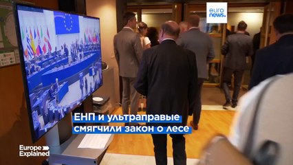 Новости дня | 22 ноября — утренний выпуск