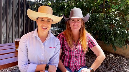 Most influential NSW meat sheep studs in 2024