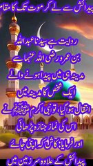 Hadess mubrik | Islamic video |how I learn Islamic knowledge