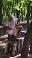 My village Life it's beautiful life I making honey 🍯