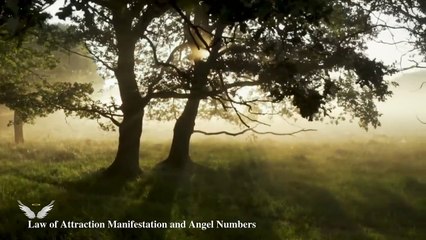 NEVER Conform Again: Discover Your Authentic Self 🚀