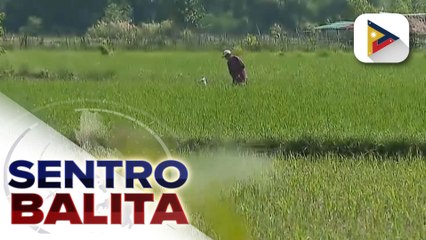Mga magsasaka at mga mangingisda sa Pangasinan na nasalanta ng bagyo, hahatiran din ng tulong ni PBBM