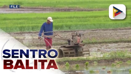 D.A., mga magsasaka, at iba pang stakeholders, magkakaroon na ng monthly consultative meeting simula 2025
