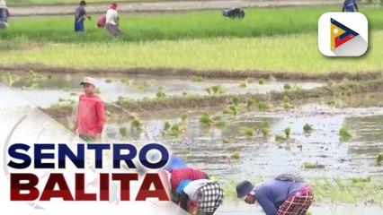 Indemnification payment ng mga magsasaka at mangingisdang naapektuhan ng mga nagdaang bagyo, patuloy ayon sa D.A.