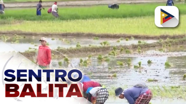 Indemnification payment ng mga magsasaka at mangingisdang naapektuhan ng mga nagdaang bagyo, patuloy ayon sa D.A.