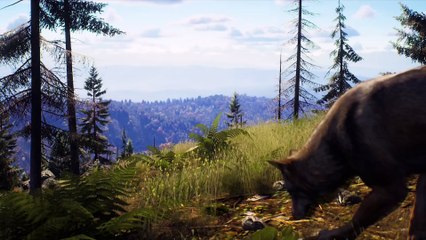 Way Of The Hunter Wild Expeditions - Launch Trailer