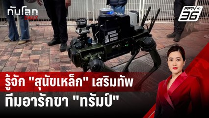 รู้จัก "สุนัขเหล็ก" เสริมทัพทีมอารักขา "ทรัมป์" | ทันโลก DAILY | 22 พ.ย. 67
