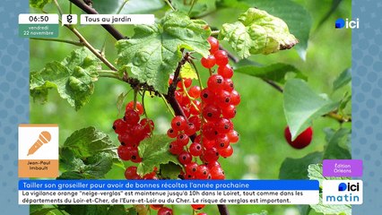 22/11/2024 - ICI Matin France Bleu Orléans en vidéo