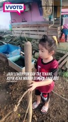 MACAM tu je adik ni pegang tongkat Raja Sulaiman, siap bagi arahan kat lembu