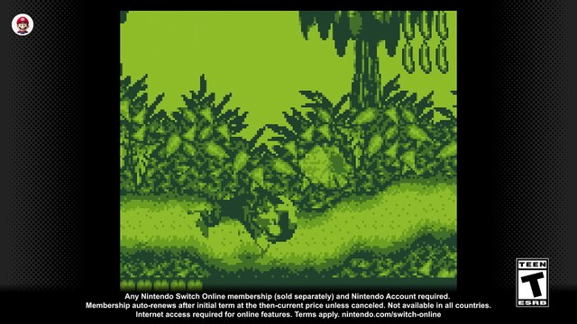 Nintendo Switch Online - Donkey Kong Land