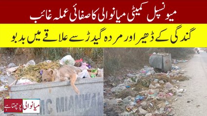 Serious Sanitation Problem on Shahbaz Khel Road, Yaru Khel | Piles of Garbage & a Dead Jackal!