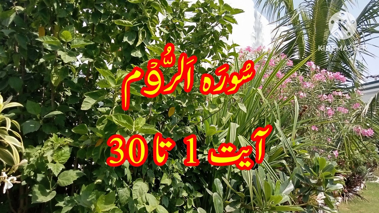 Surah AR Rum  surah room  Quran verses  recitation  quran pak ki tilawat  learn quran