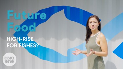 A fish farm in the heartlands | Future Food