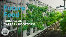 Repurposing an old school into a farm | Future Food