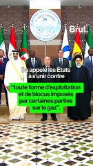 Le président Kaïs Saïed appelle à s'unir contre "le blocus et l'exploitation" concernant le gaz