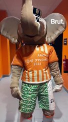 Quand la mascotte Akwaba nous montre la danse "Coup du marteau"