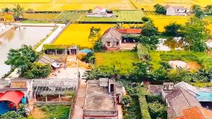 Con muốn về quê hương Ninh Bình - Nhạc Phạm Quang Dụ, Thơ Vũ Tuấn