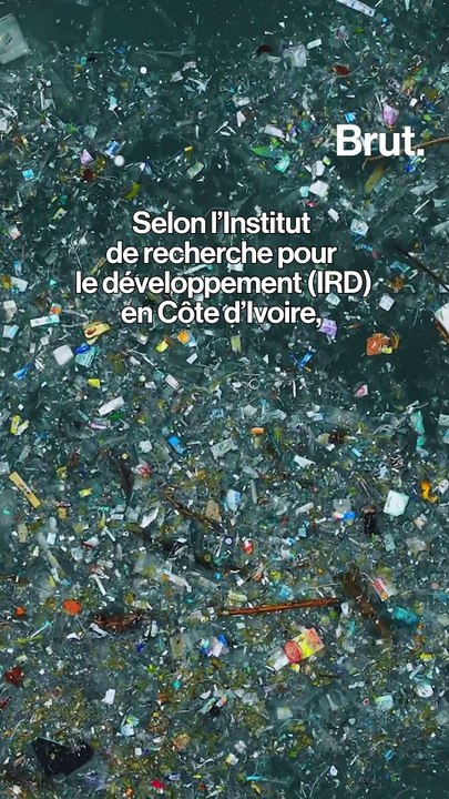 Abidjan : 2 tonnes de poissons morts retrouvés sur les rives de la lagune