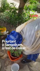 Cette femme nous donne son avis sur les couples d'aujourd'hui