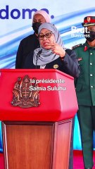 La Tanzanie investit plus de 4 milliards de $ dans un train à grande vitesse.