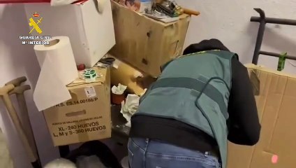 La Guardia Civil desmantela un punto de venta de droga en Medina de Rioseco